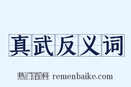 真武反义词是什么意思的图片